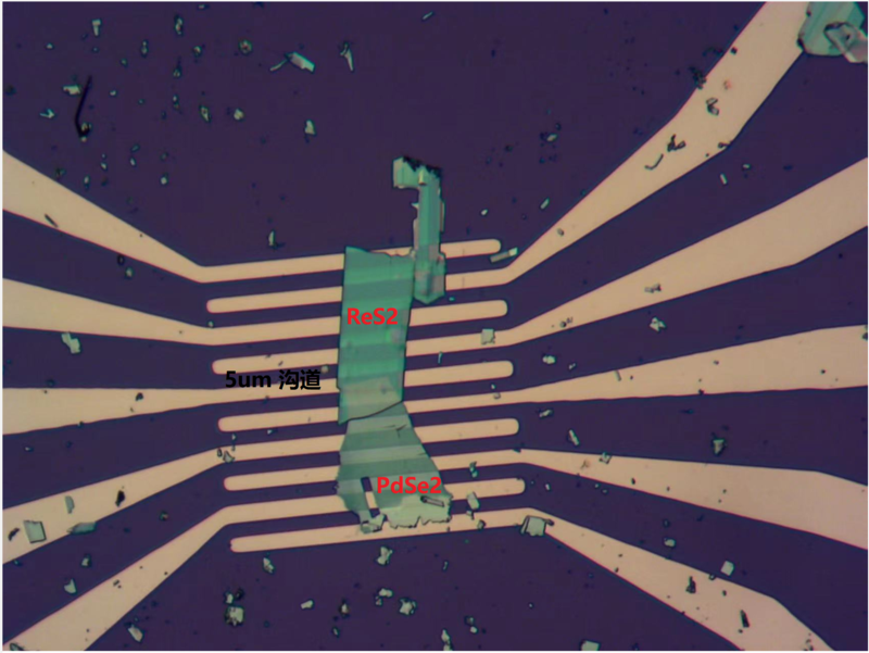 Multilayer ReS2/PdSe2 FET Devices