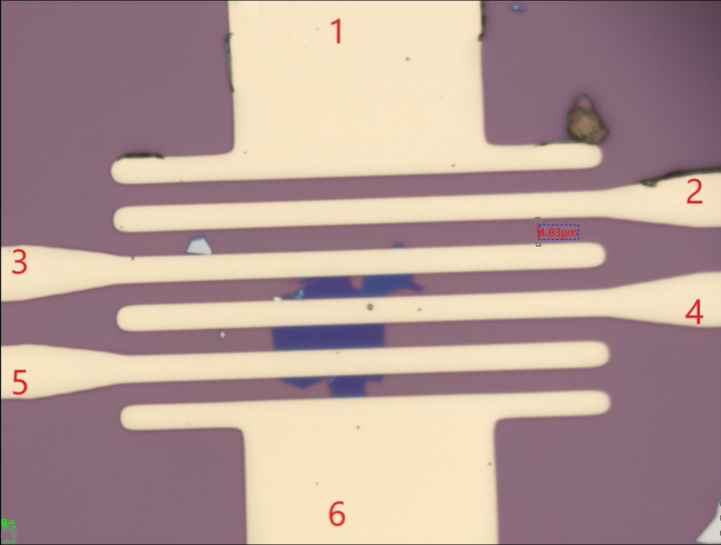 MoSe2 FET, Molybdenum Diselenide Transistor