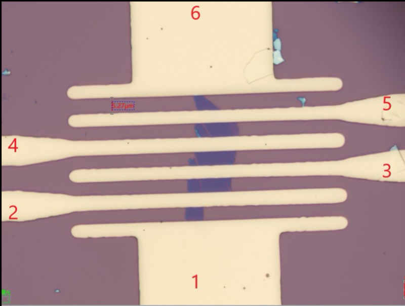 Double layer PtSe2 FET array