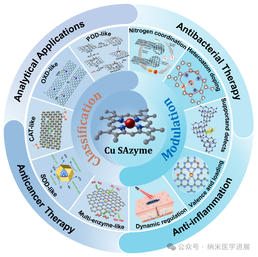 Chem. Sci. | Atomic-level Precise Control of Copper-Based Monomolecular Nanoenzymes and Their Biomedical Applications