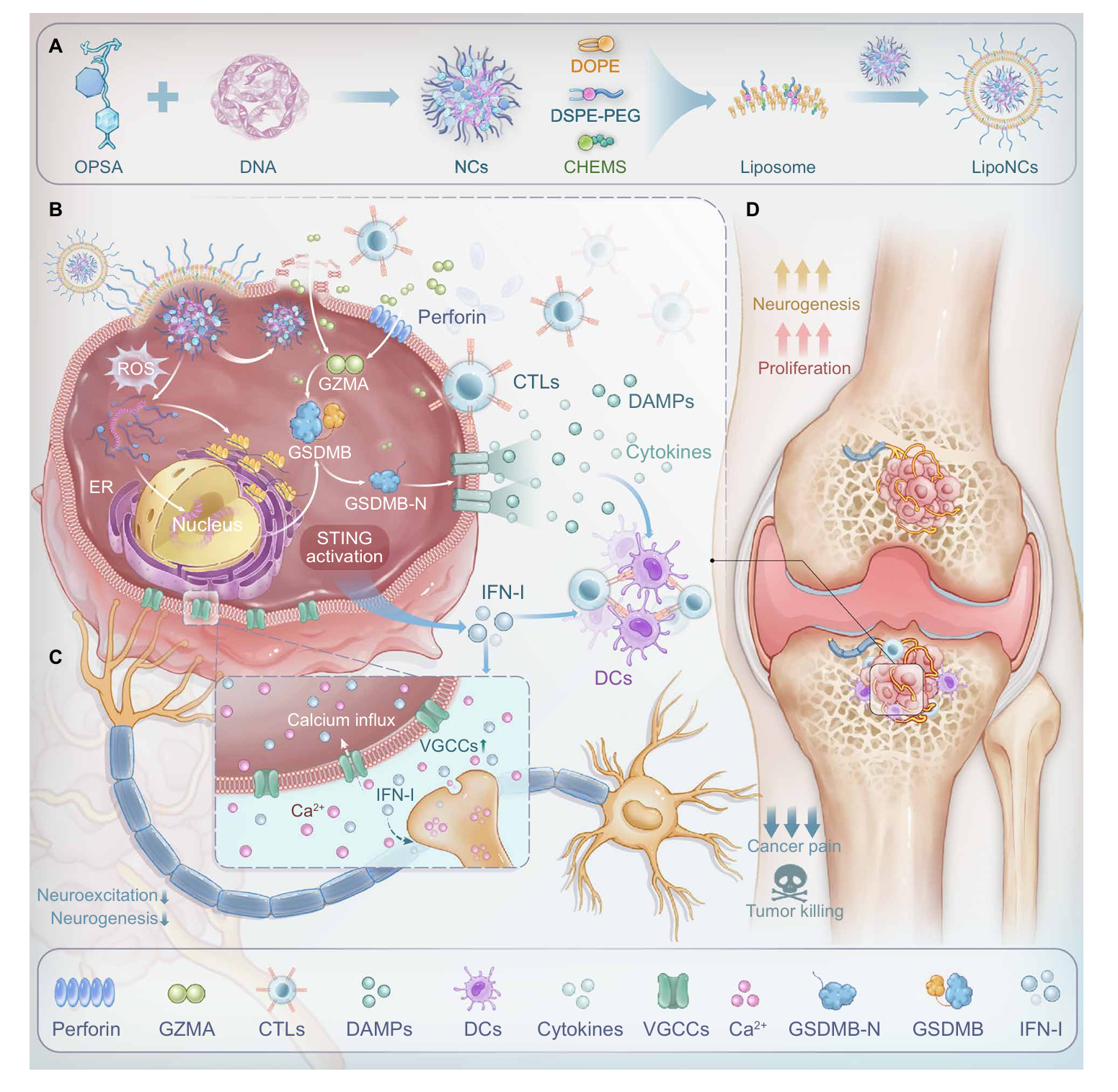 Tumor-Nerve-Advanced Nanomedicine Special Issue! Shen Youqing / Xiang Jiajia / Liu Xin / Fan Shunwu Science Special Issue: Oxidative Activation of Nanomedicine Therapy Reshapes Tumor Immune Checkpoint