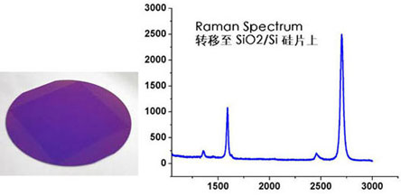 Graphene Single-layer CVD graphene--Si/SiO2 substrate (1cm*1cm)