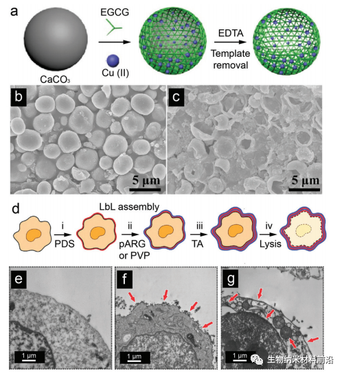 Functionalized Nanomaterial Assembling and Biosynthesis Using the