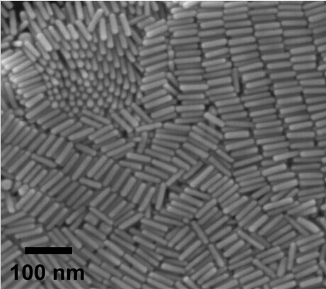 PEG modified Au nanorods