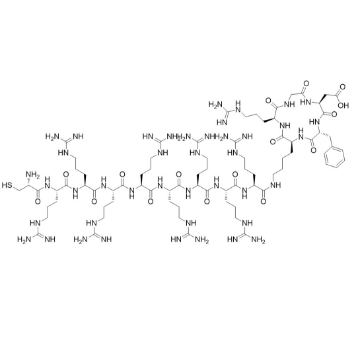 Cyc[Arg-Gly-Asp-Phe-Lys(Arg-Arg-Arg-Arg-Arg-Arg-Arg-Arg-Cys-H)]