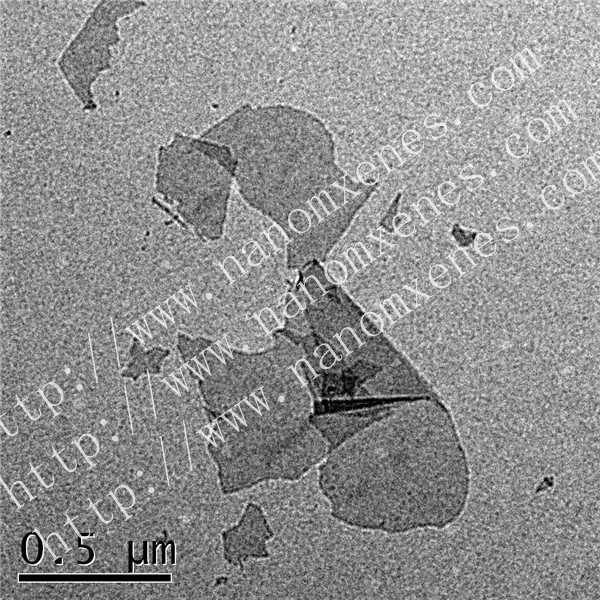 Single layer Mo2TiC2-MXenes