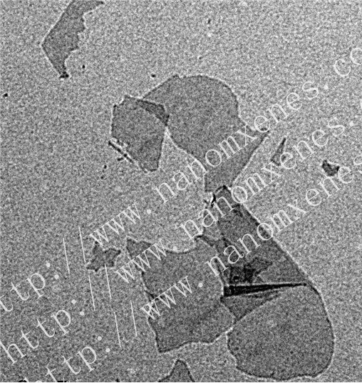 Organ-shaped single-layer Ta2C MXenes material