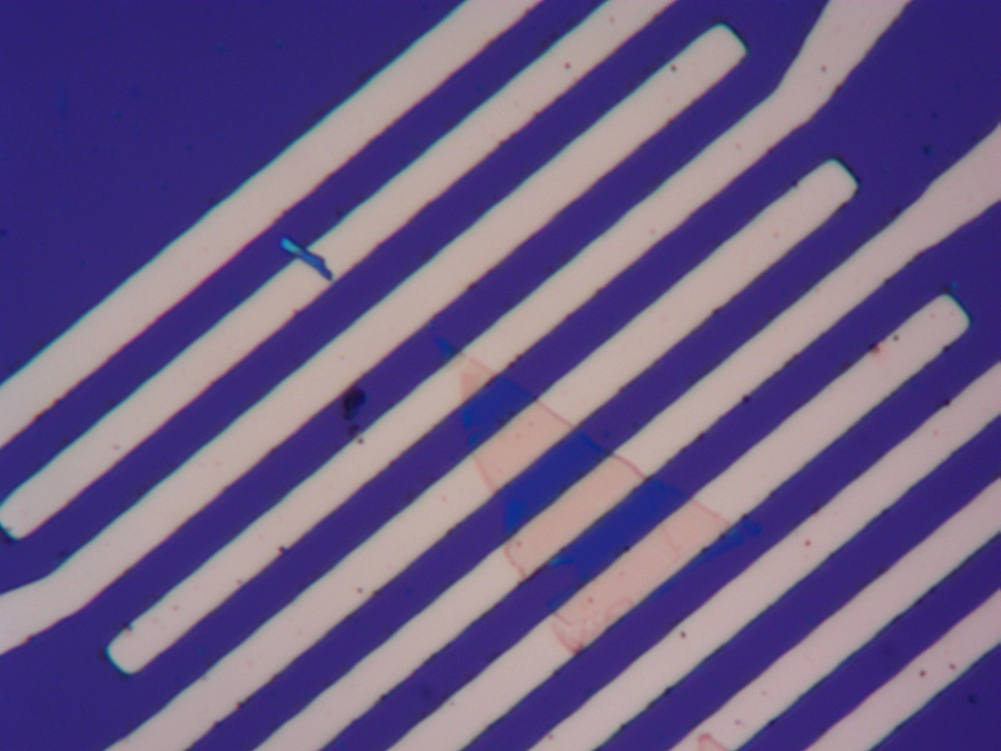 MoS2/TiS3 ʽ