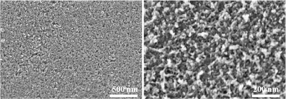 Double mesoporous carbon materials