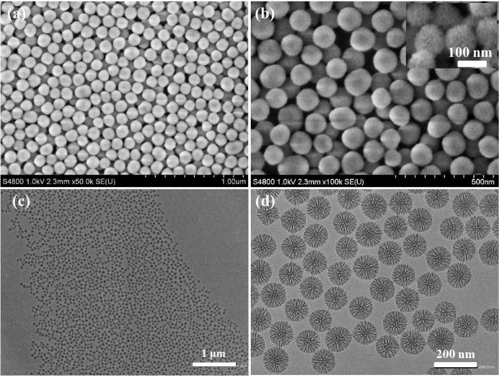 Mesoporous silica nanospheres