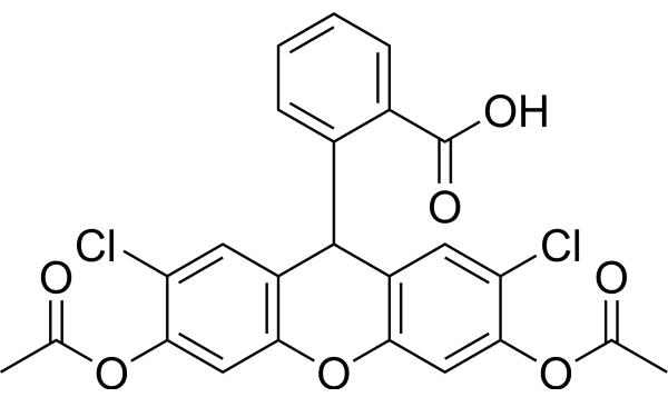 ӫ̽(DCFH-DA)