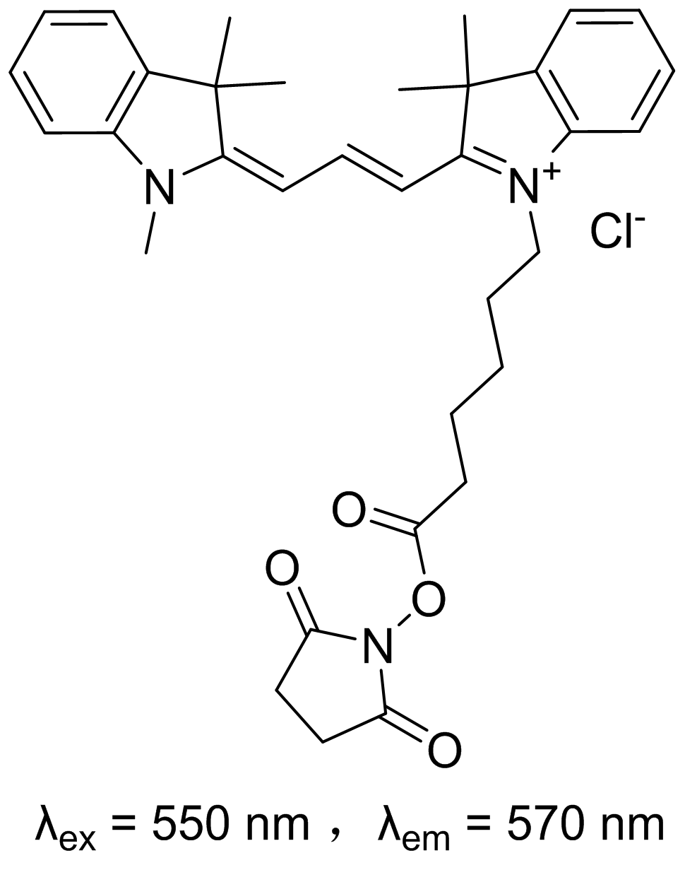 ݼȾ Cyanine 3- NHS ester