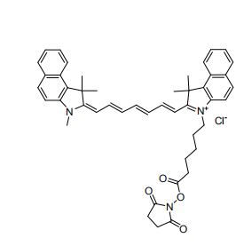 ݼȾCyanine7.5-NHSester