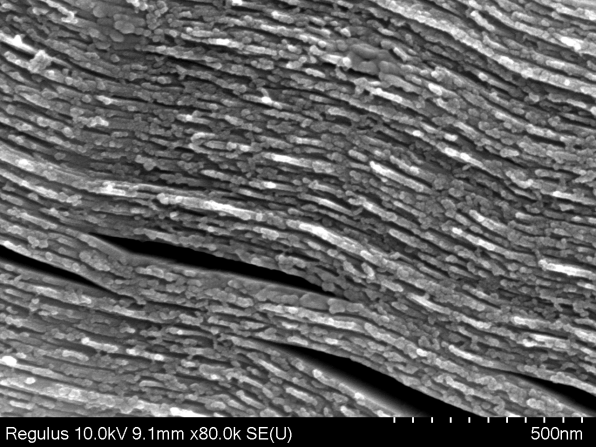 Multilayer Vapour Phase Ti3C2-Cl MXene