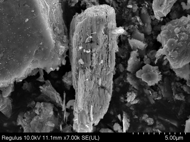 High-temperature multilayer vapour phase Ta4C3-Cl MXene