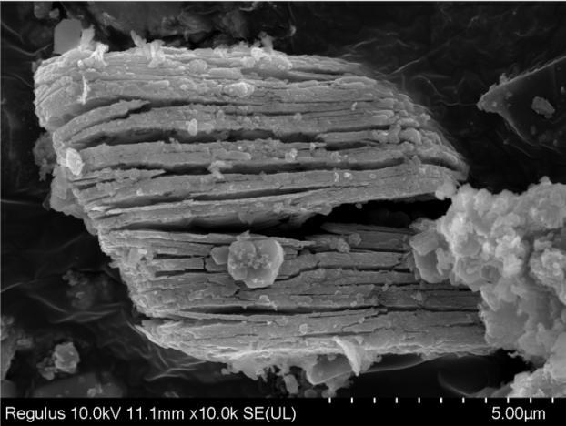 High Temperature Multilayer Vapour Phase T2N-Cl MXene