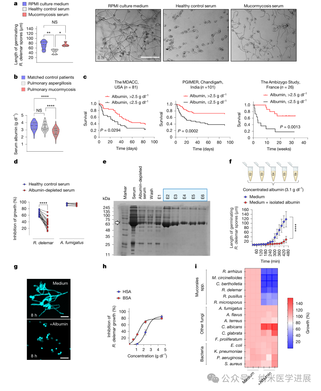 Nature�����ذ����׵���һ�ͣ�ëù����Ⱦ���������Ļ���ǡ�֬���ᱻ������ 