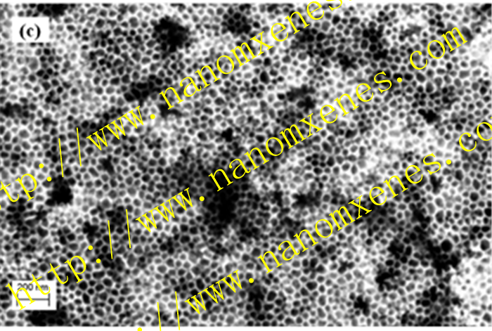 ׶̼ -׾ 50nm -ӿ10nm -ȱ250m2/g -1.7ml/g