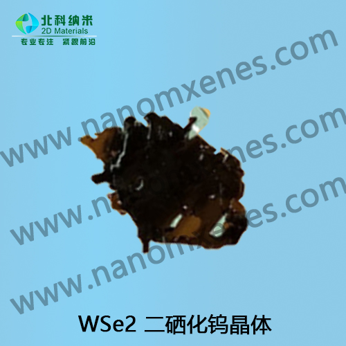 ⣨Mo25%)WSe2 پ ߴ>25mm2