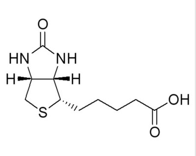 ش΢/ش/biotin//biotin΢