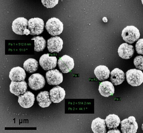 Oligo(dT)18