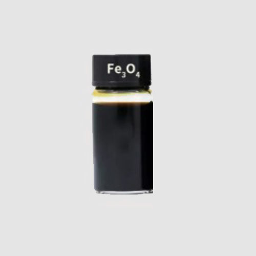 ø