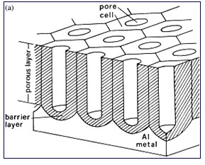 U͵ͨAAOģ D:10nm-D:200nm