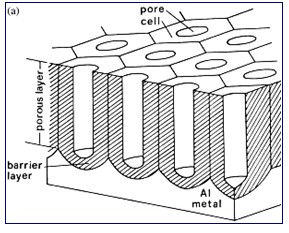 U-shaped single-pass AAO nano template D:10nm-D:200nm