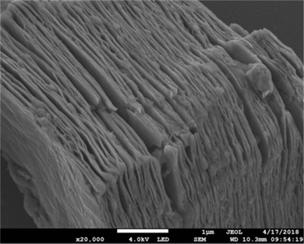 Organ-like Ti2C MXenes material 1g